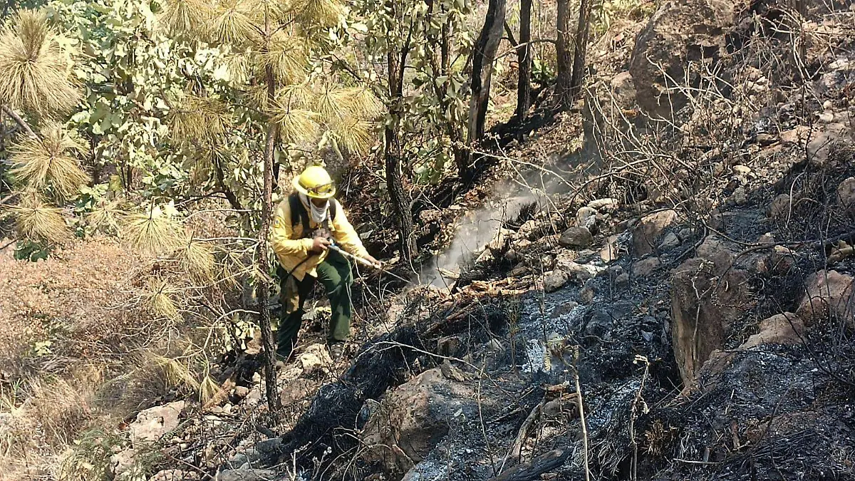 Incendio ANP Bosque de la Primavera